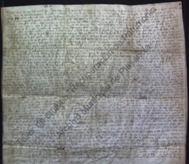 Carta de privilegio y confirmación del rey Alfonso XI del ordenamiento de la ciudad de Plasencia