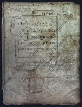 Carta de privilegio y confirmación de Real Cédula del rey Felipe IV a los vecinos de Plasencia y ...